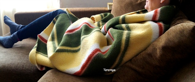 como-hacer-abrigo-facil