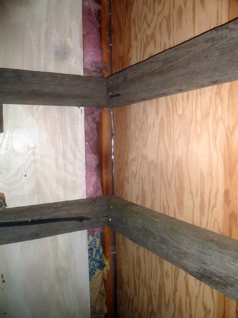 Rural Revolution Photos of our canning closet