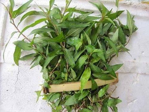 Cách se khít lỗ chân lông hết nám cach-se-khit-lo-chan-long-het-nam