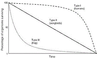 sample survivorship curves