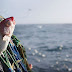 Saltwater Fish May Go Extinct as Soon as 2048