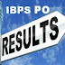 IBPS PO Main Result 2019 announced, Check @ ibps.in