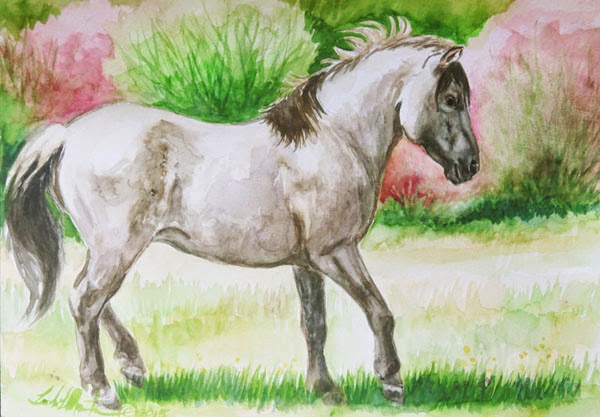 http://heckhorses.blogspot.com/