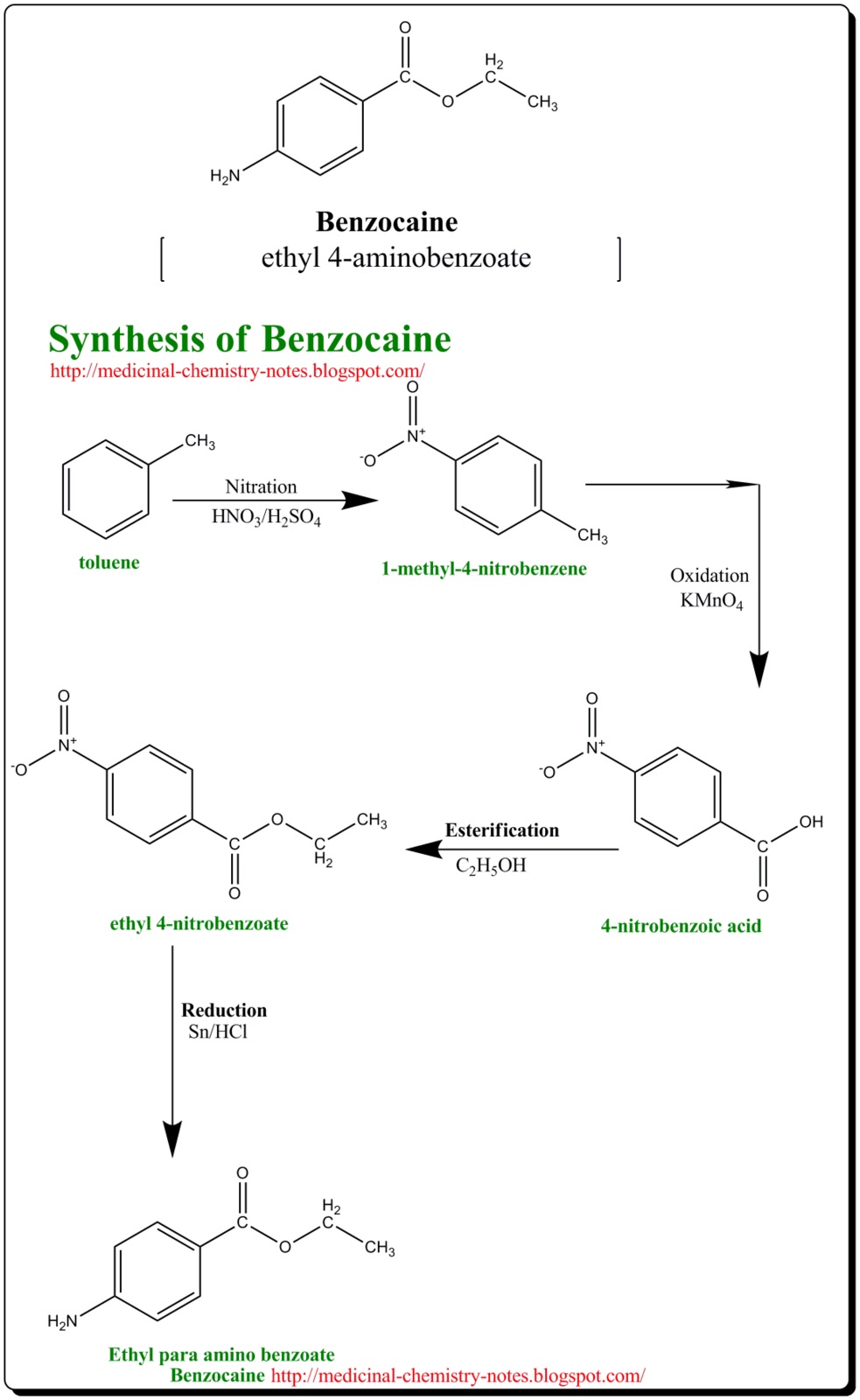 benzocaine | C9H11NO2 - PubChem