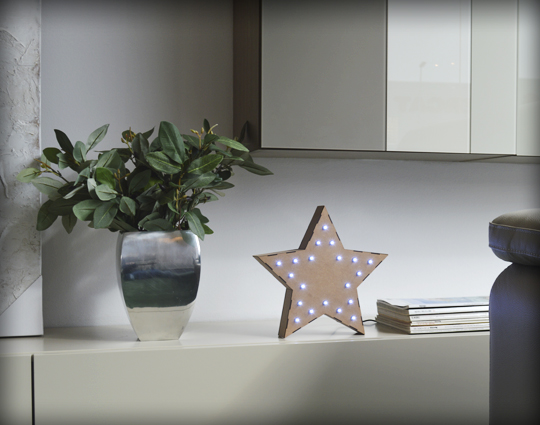 Estrella de cinco puntas decorativa