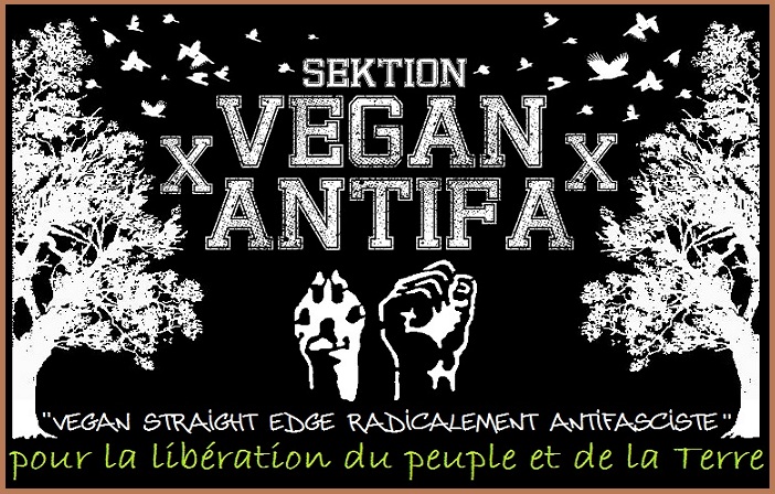 x Sektion Vegan Antifa x