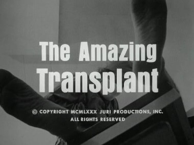 Doris Wishman The Amazing Transplant