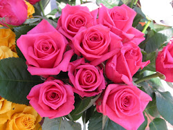 Imágenes de flores y plantas: Rosas