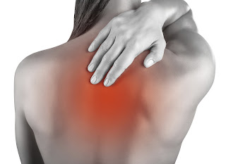 Estructura de la columna vertebral La columna vertebral es una parte complicada y maravillosa de nuestro cuerpo que es esencial para todas las demás partes para su buen funcionamiento. Es necesario comprender el funcionamiento básico denuestra columna vertebral para que sepamos cómo detectar cualquier problema y que lo revisen