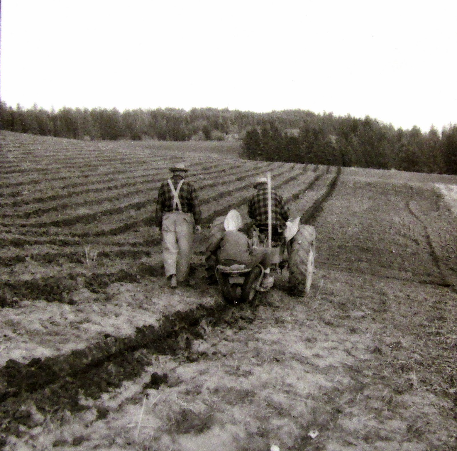 Bygone Walla Walla vintage images of the City and County (and beyond