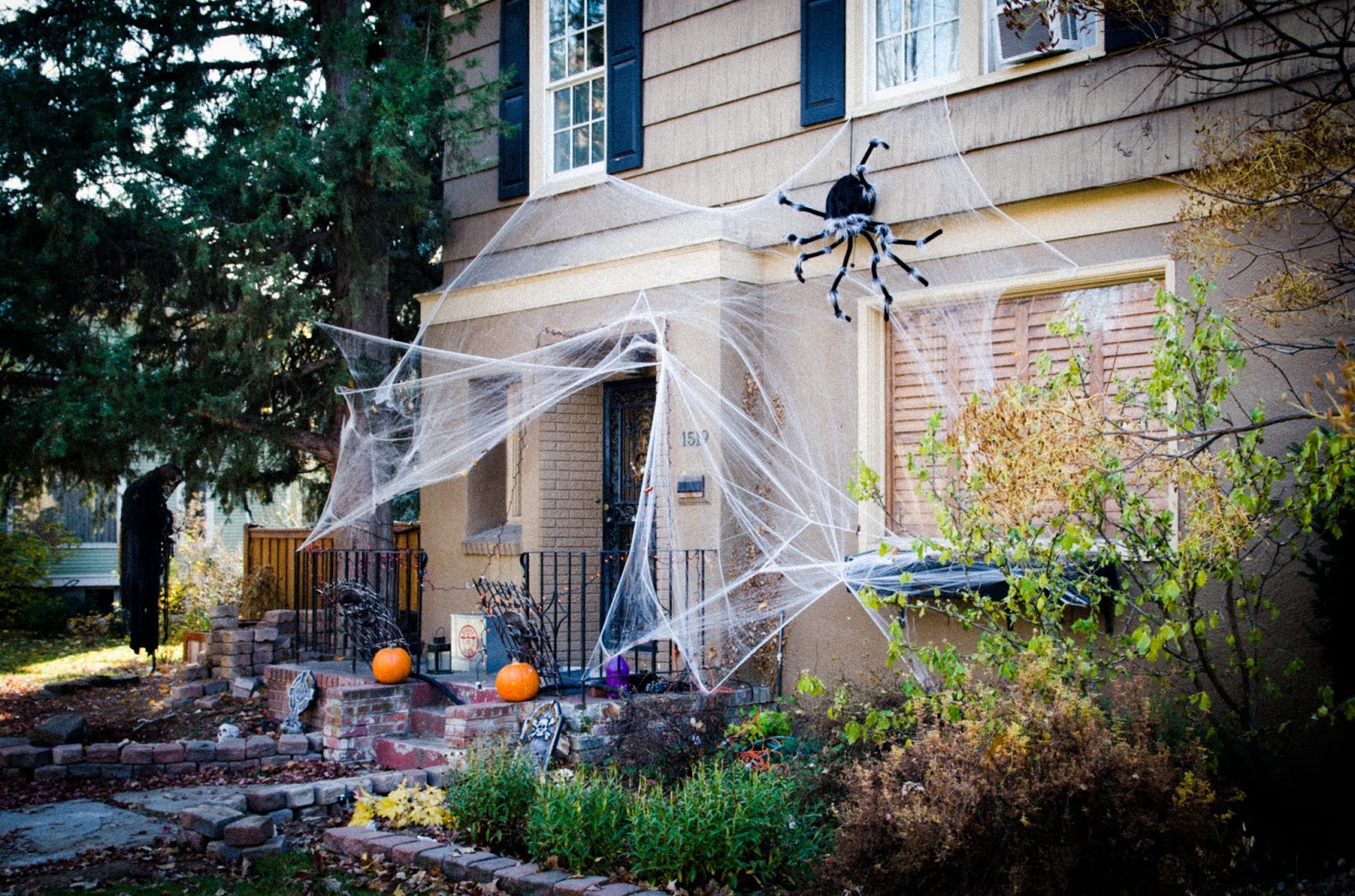 Boise Harrison Blvd Halloween