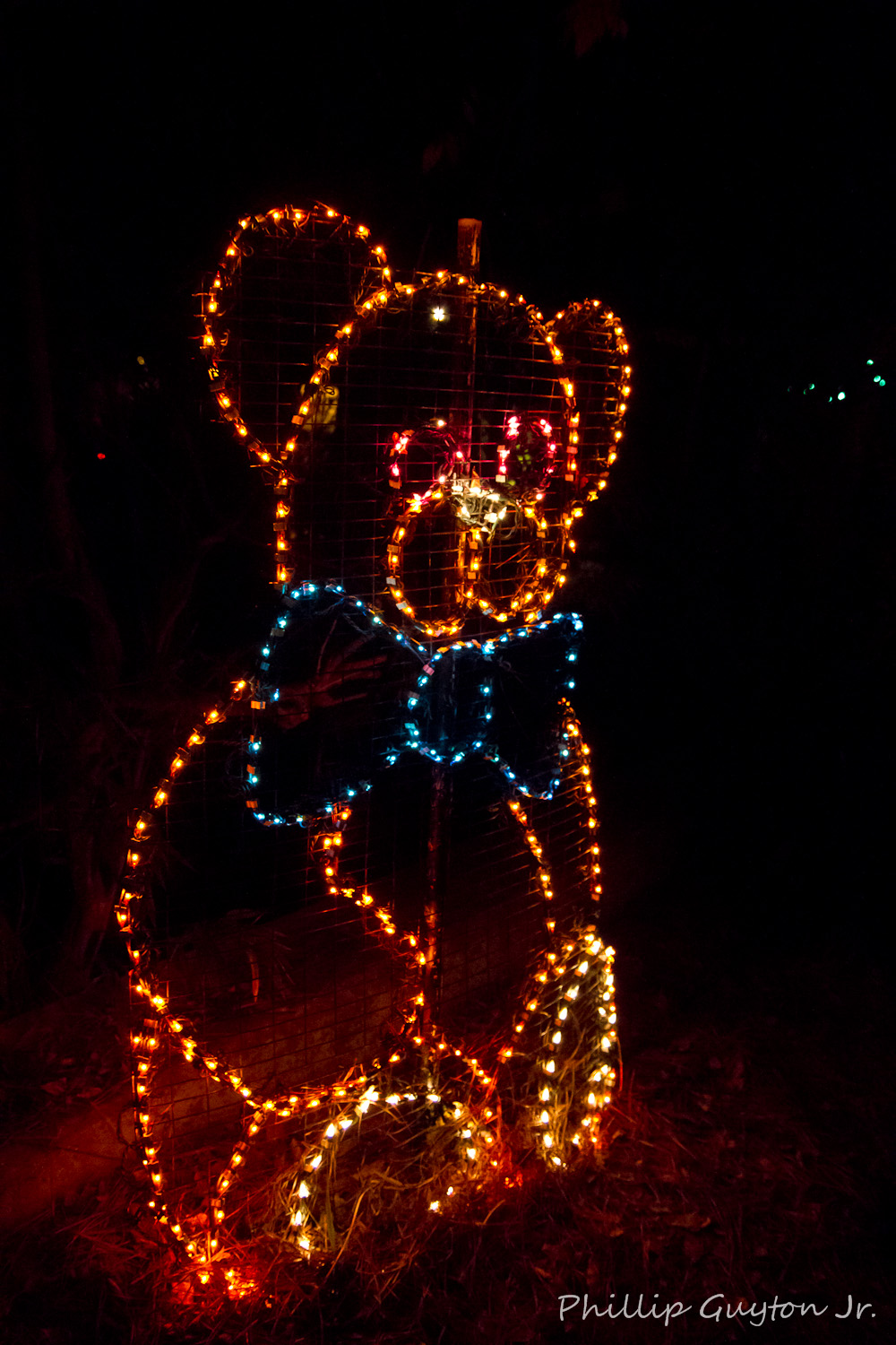True Light Photography Riverbank Zoo's Lights Before Christmas