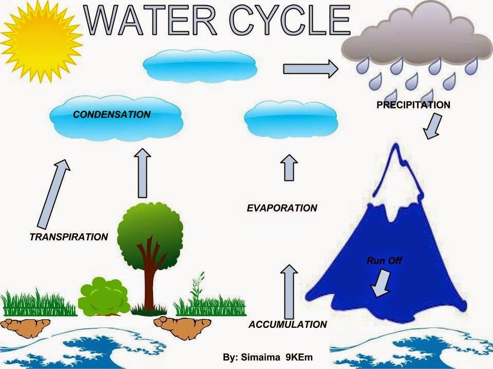 Mrs Smallwood's Science classes: The Water Cycle Posters