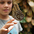 Cosmic Education: Helping Montessori Parents Raise Environmentally Aware Children