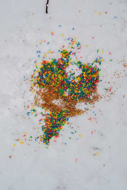 ПРОГУЛКА ДОБРЫЕ ДЕЛА