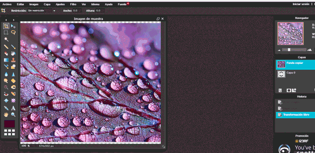 Gif relleno de forma GIF_relleno_de_forma
