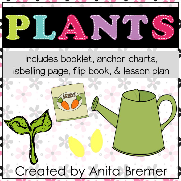 Mrs. Bremer's Class Spring Learning About Plants