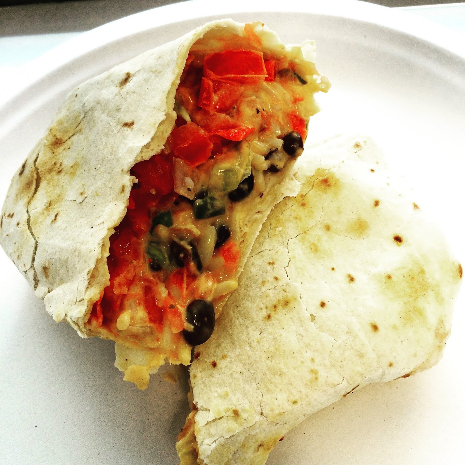 Fidel Gastro Why Did I Eat This? Wawa's Pulled Pork Burrito