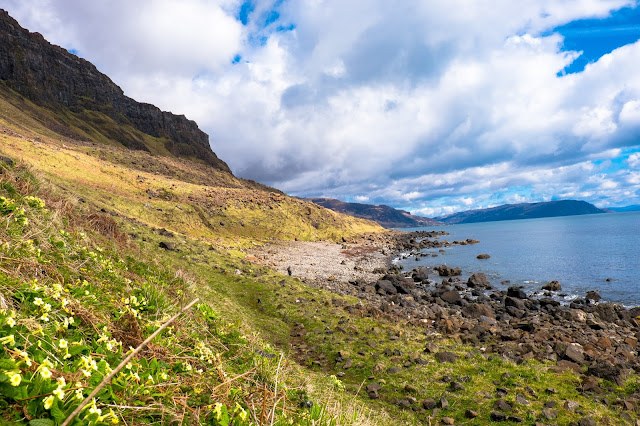 Isle Of Mull Carsaig Walk Scotland 19