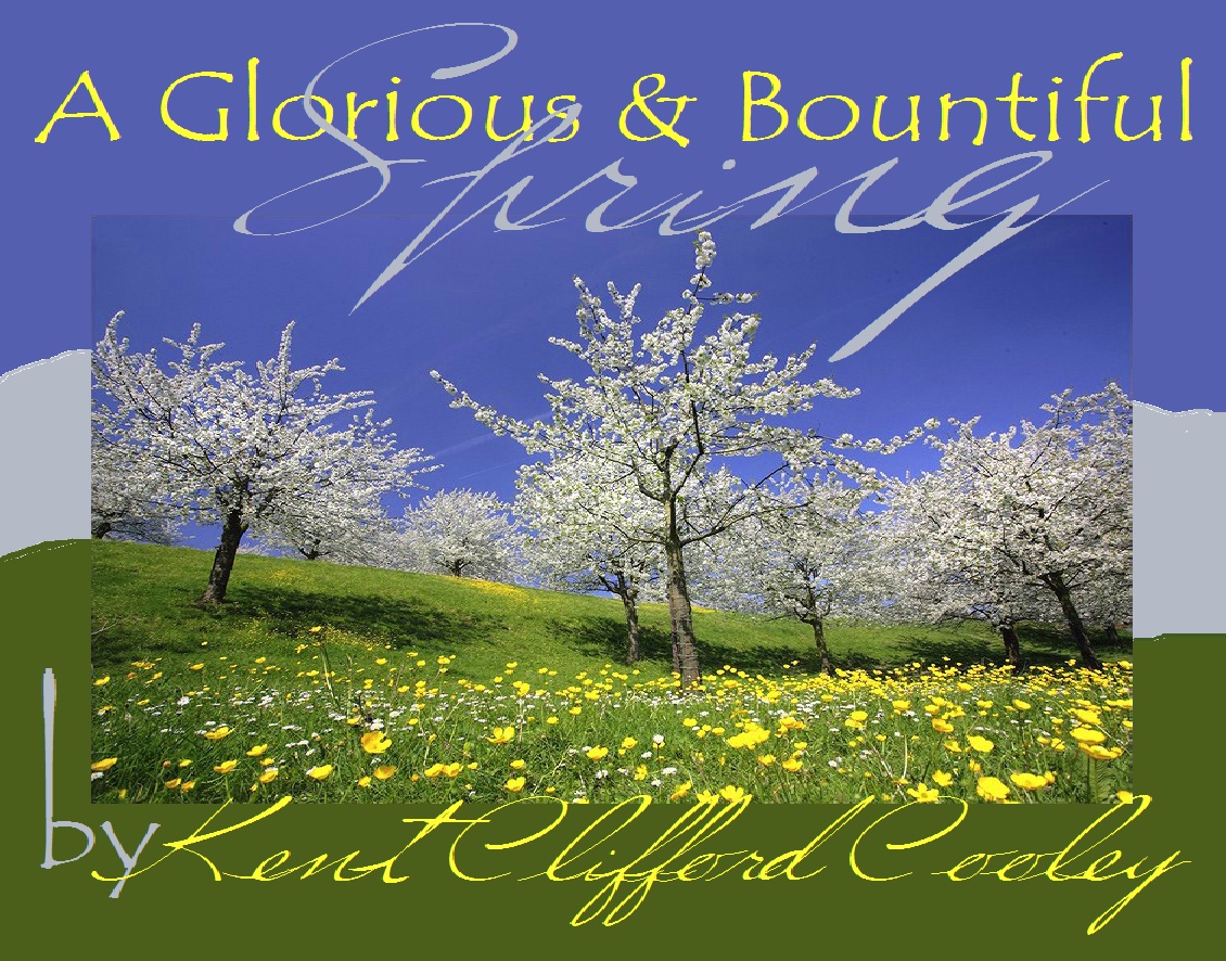 Daily Love Walk A GLORIOUS AND BOUNTIFUL SPRING / New Life