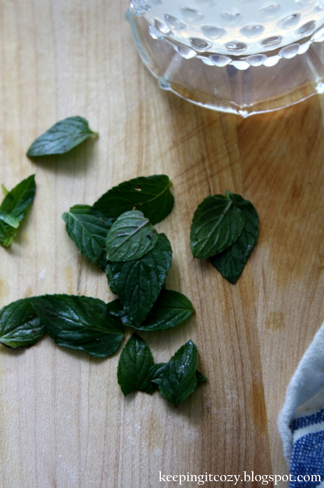 Keeping It Cozy Mint Flavored Lemonade