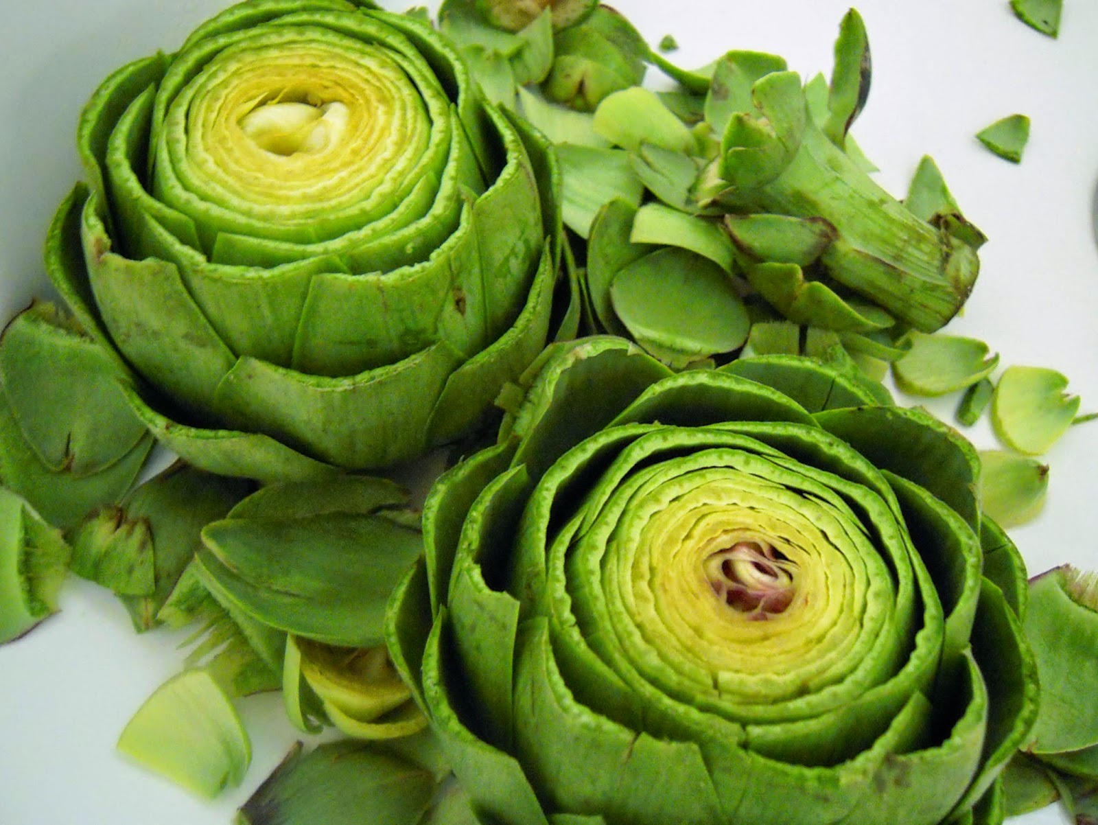 Health Benefits of Vegetables and Fruits Health Benefits of Artichoke