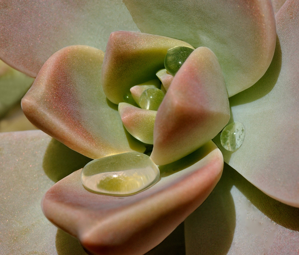 Concursos de la Asociación Fotográfica La