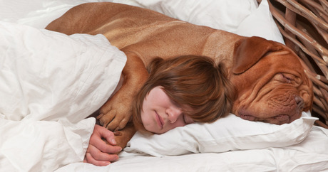 5 Signs Your Dog Loves You - Luv My Dogs