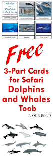 FREE 3-Part Cards for Safari Ltd Dolphins and Whales Toob from In Our Pond