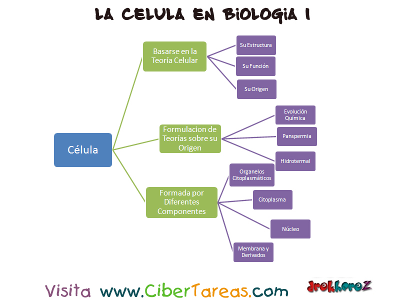 Mapa conceptual Biología  1º EM