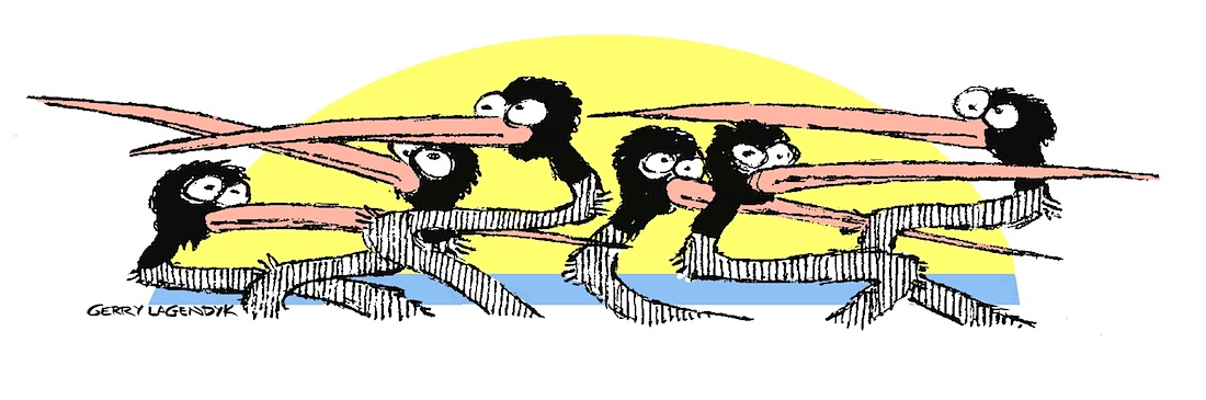 wild birds cartoon wild birds cartoon by Gerry Lagendyk