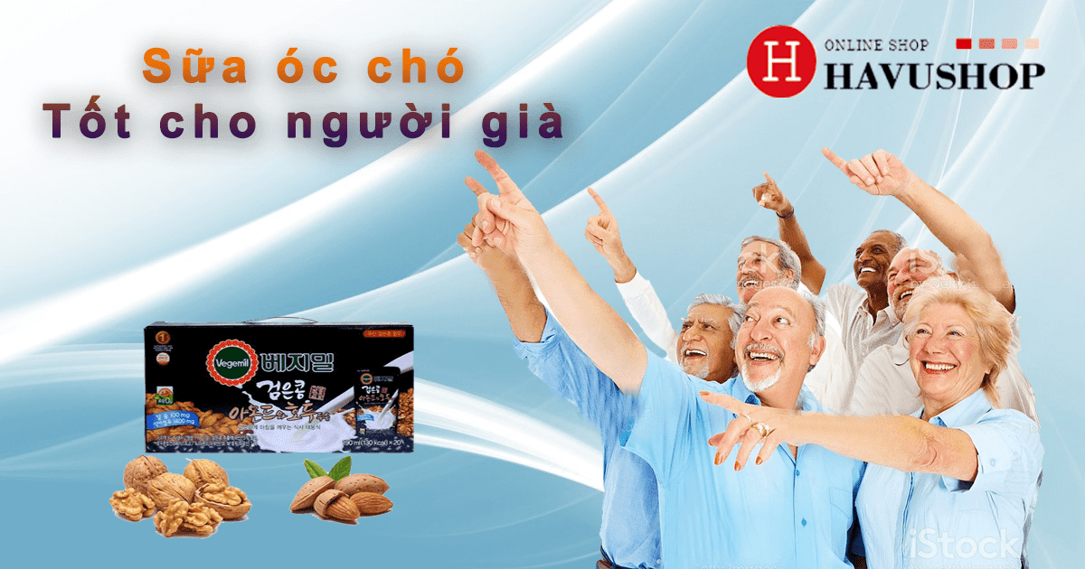 Sữa óc chó tốt cho người già Sữa óc chó tốt cho người già