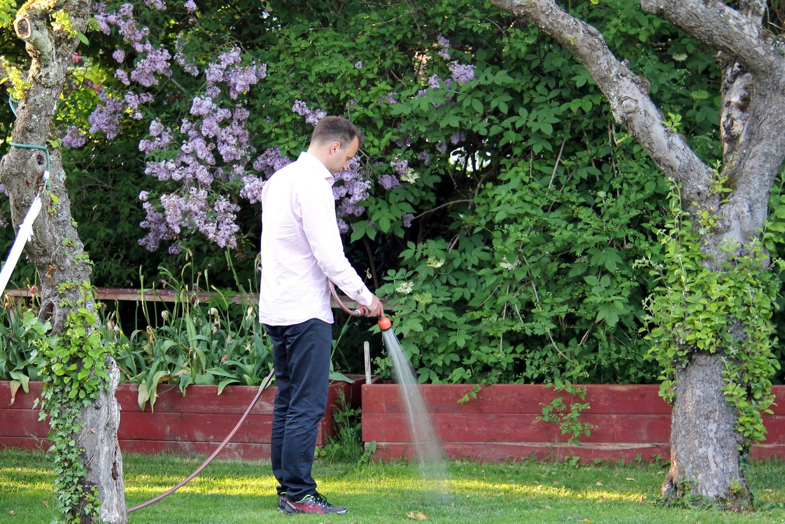 Trädgårdstid: blommig fredag min favoritfärg