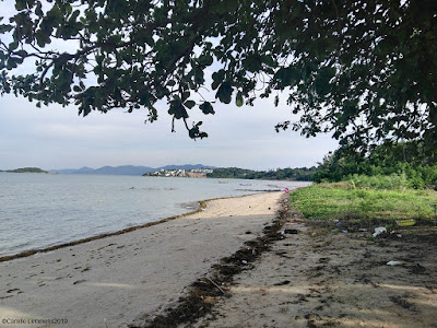 Koh Samui, Thailand weekly weather update; 18th February 2019 – 24th February 2019