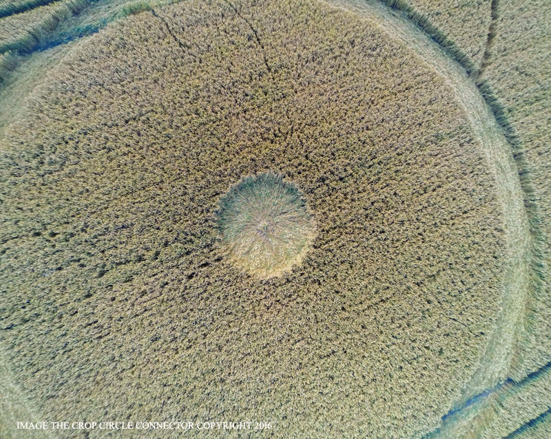 Crop circle en Wiltshire - 22 de julio (2016) Crop circle en Wiltshire - 22 de julio (2016)