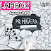 Minha primeira Glambox - vale a pena assinar?