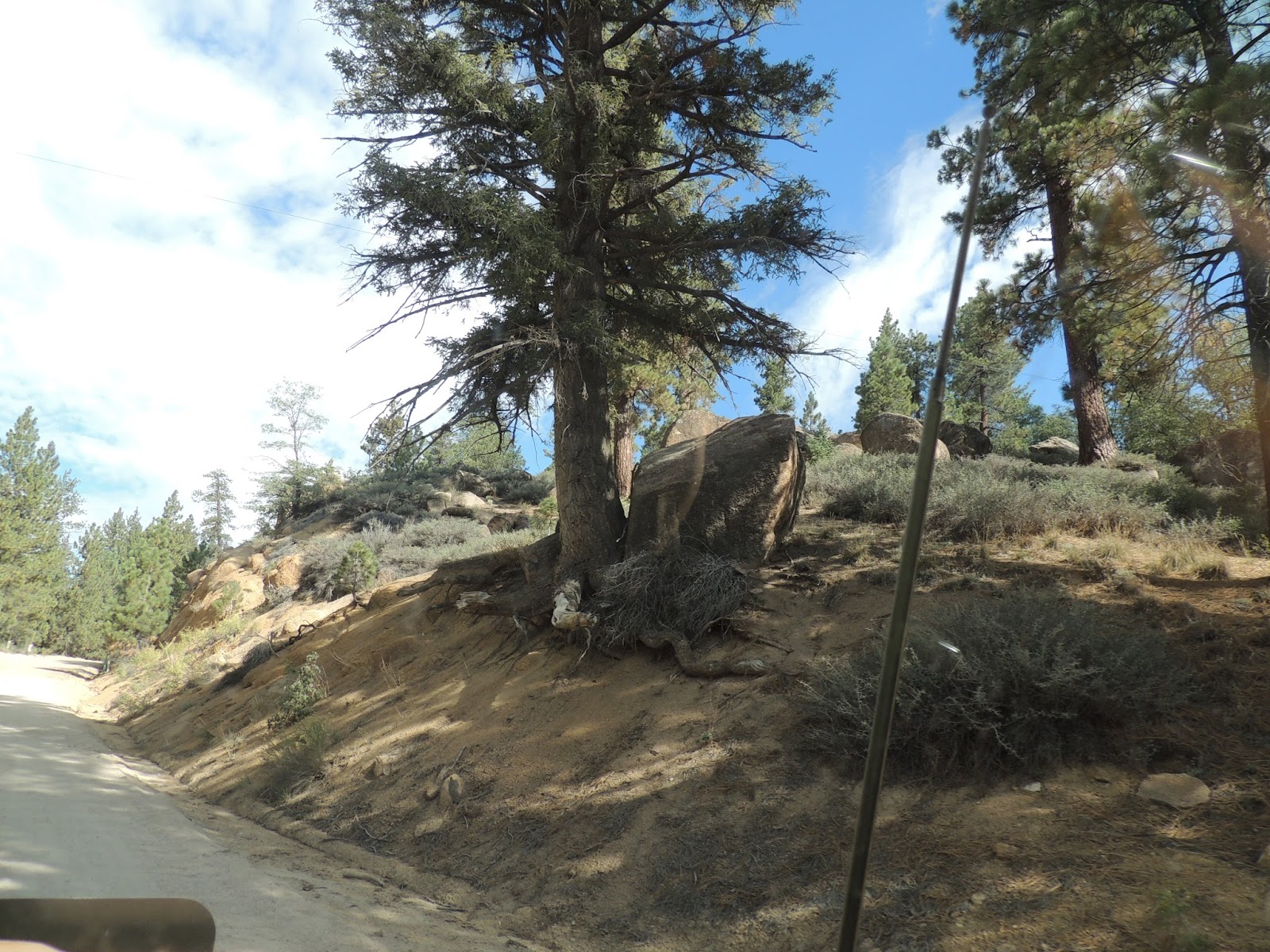 THE ROAD TAKEN Hanna Flat Campground, San Bernardino Forest, CA