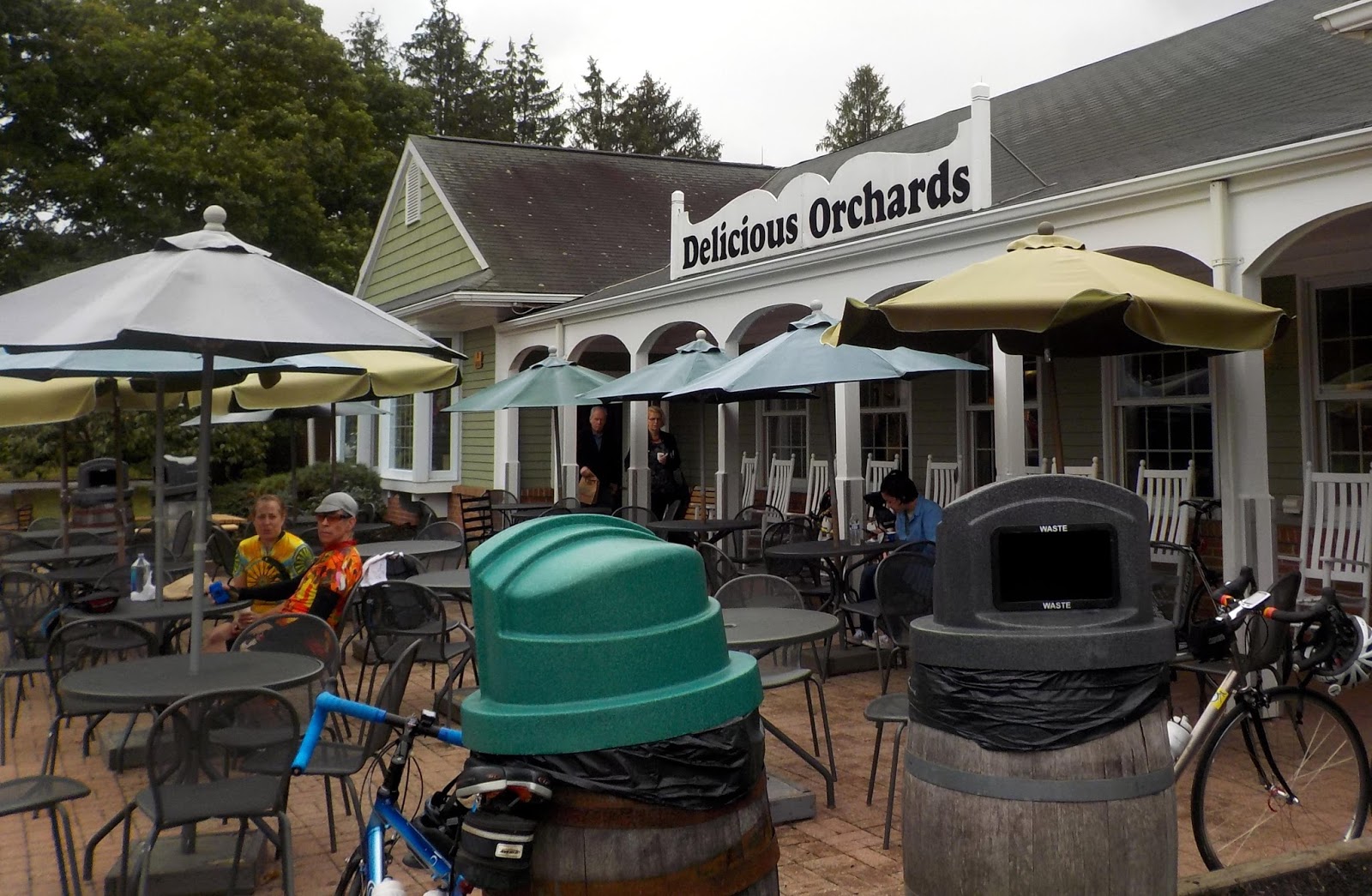 Tom's Bike Adventures Delicious Orchard