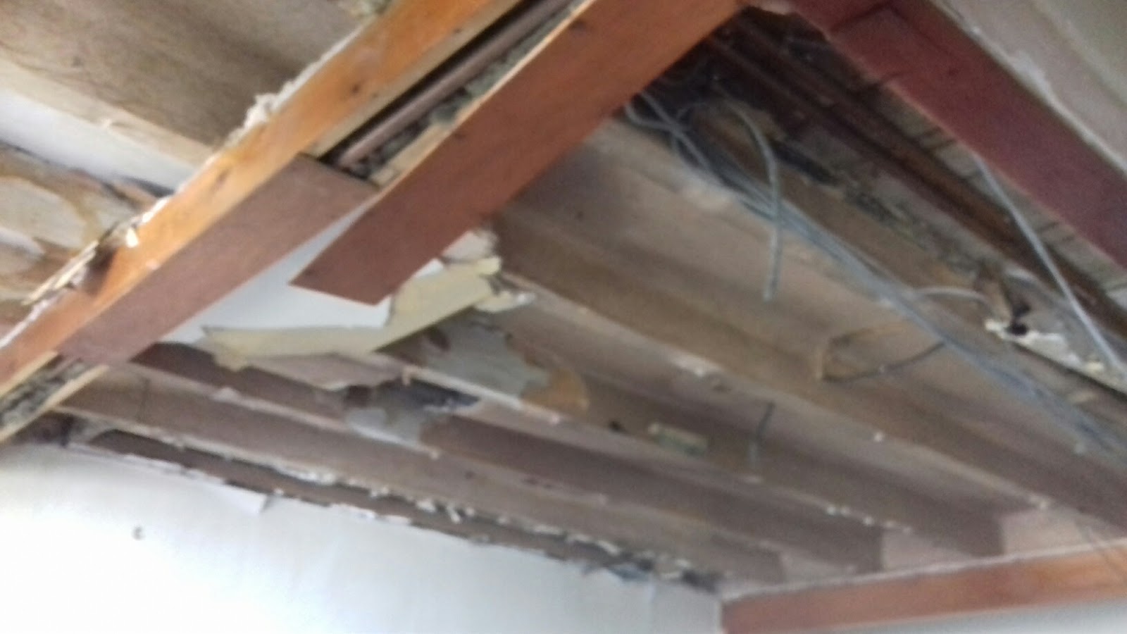 Margot S Blog The Big Ceiling Work