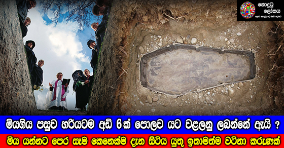 Share