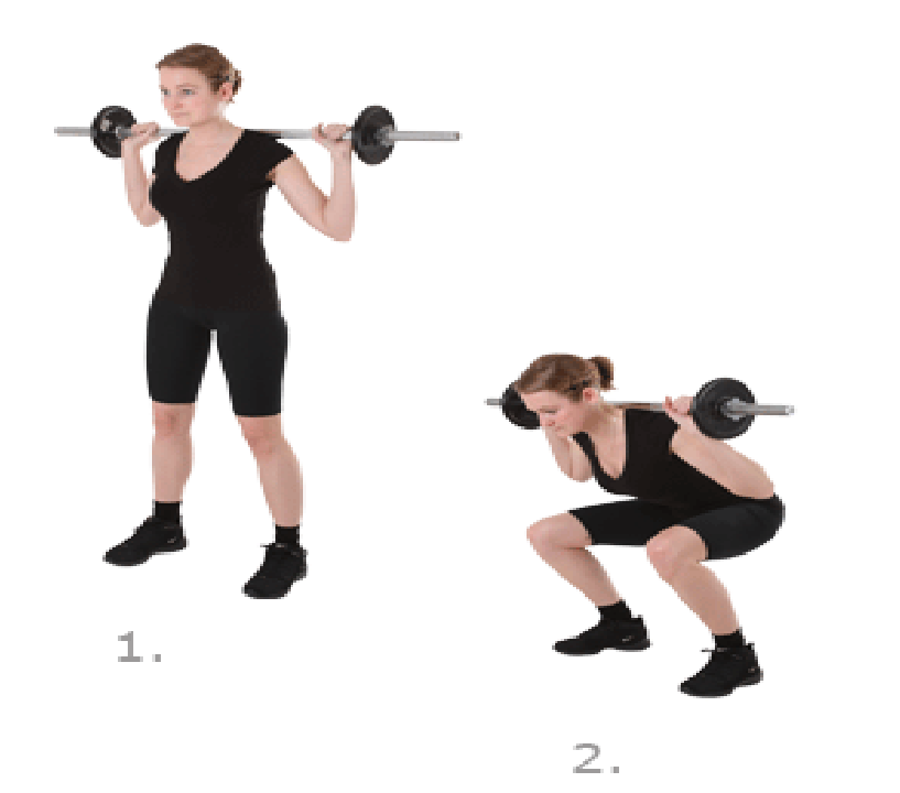 Step Exercises and Fitness Legs Exercises step 2 Barbell squat