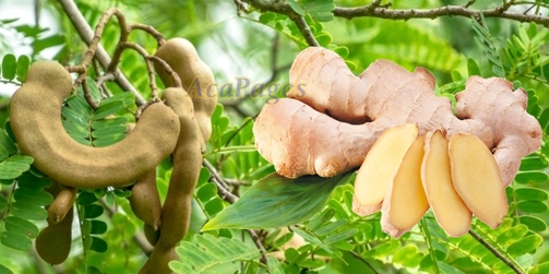 Jahe Dan Daun Asam Jahe Dan Daun Asam