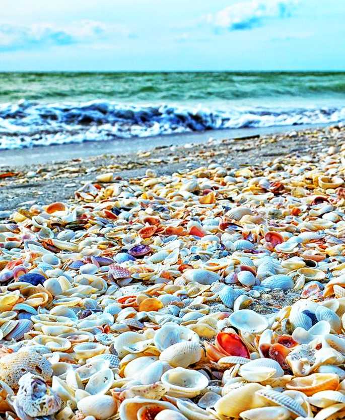 Collection 90+ Images photos of sanibel island beaches Full HD, 2k, 4k