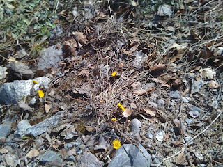 v%25C3%25A5rtecken%2Bmm%2B017 - Härligt solig söndag