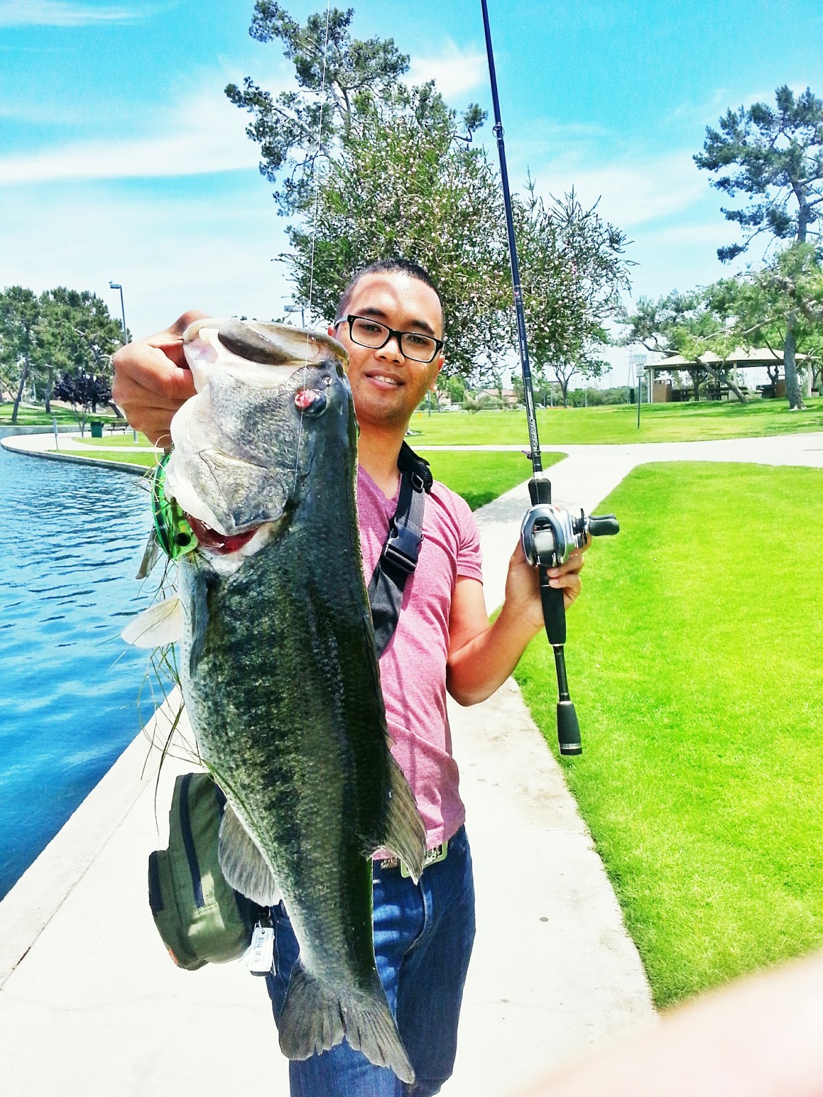 Jackall Japan's new topwater plug; the POMPADOUR Urban Fishing...