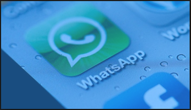 Siap-Siap Admin Grup Whatsapp bisa Dilengserkan