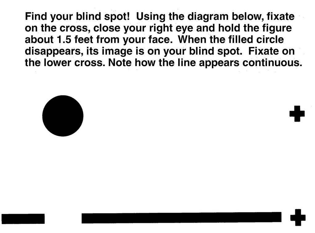 I Wish Princess How to See Blind Spots