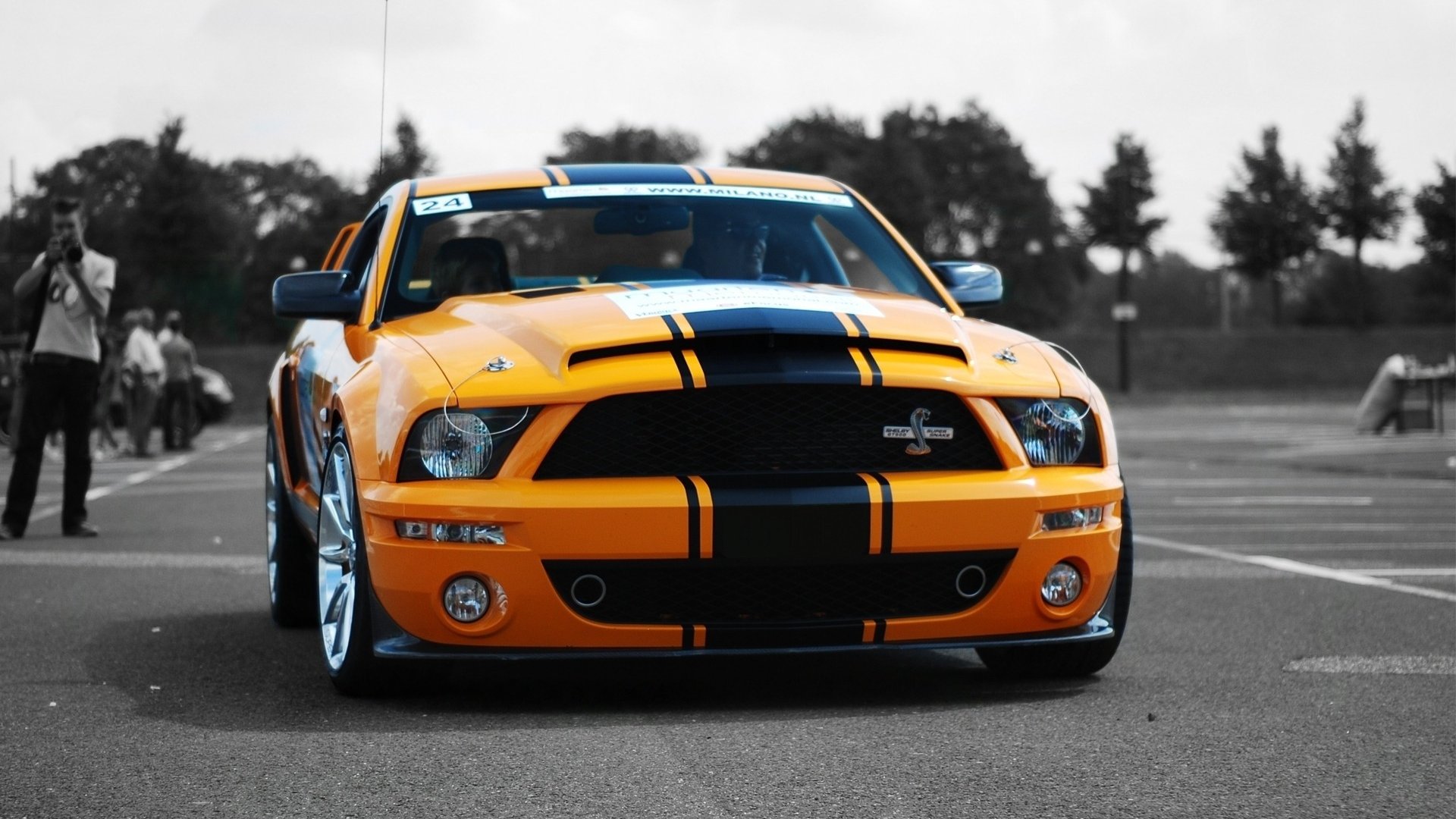 Ford shelby gt500