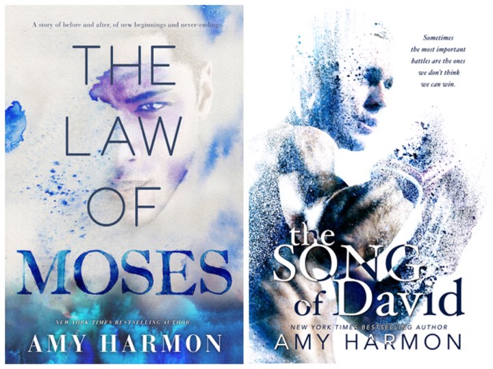 Recensione Hai Cambiato La Mia Vita Di Amy Harmon Once Upon A Time A Book jpg (720x540)