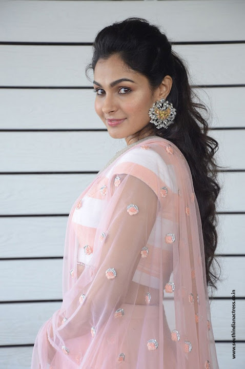 Andrea Jeremiah at Detective Movie Interview